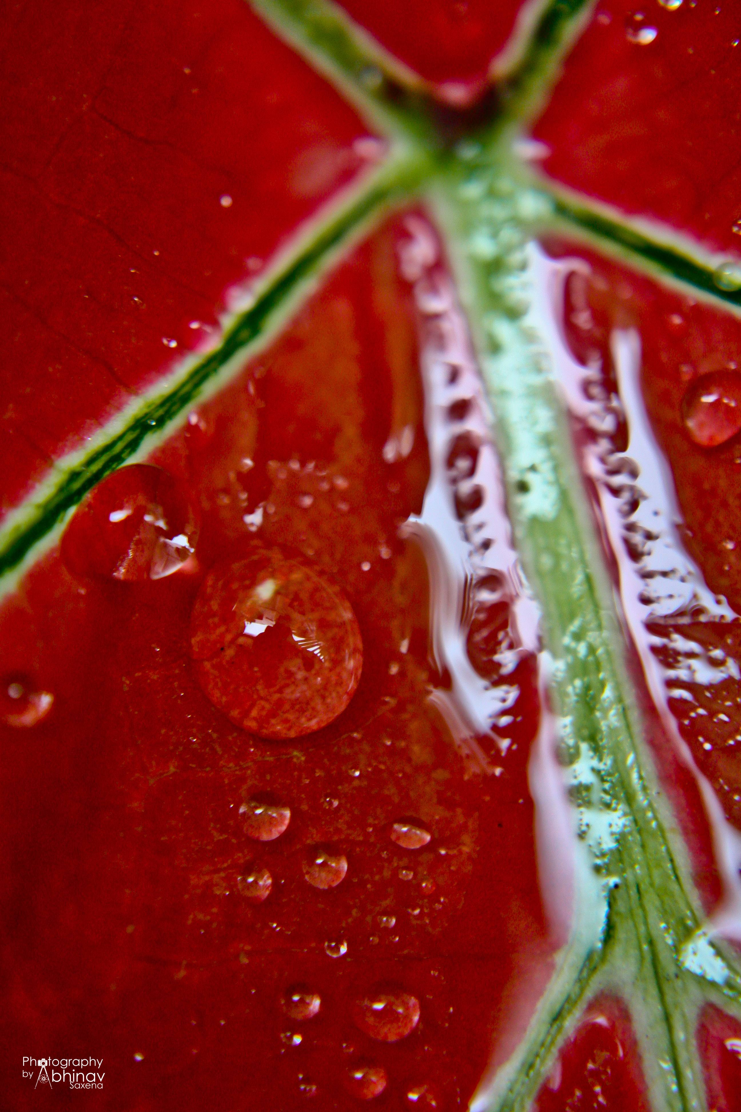 01. Abstract (3)