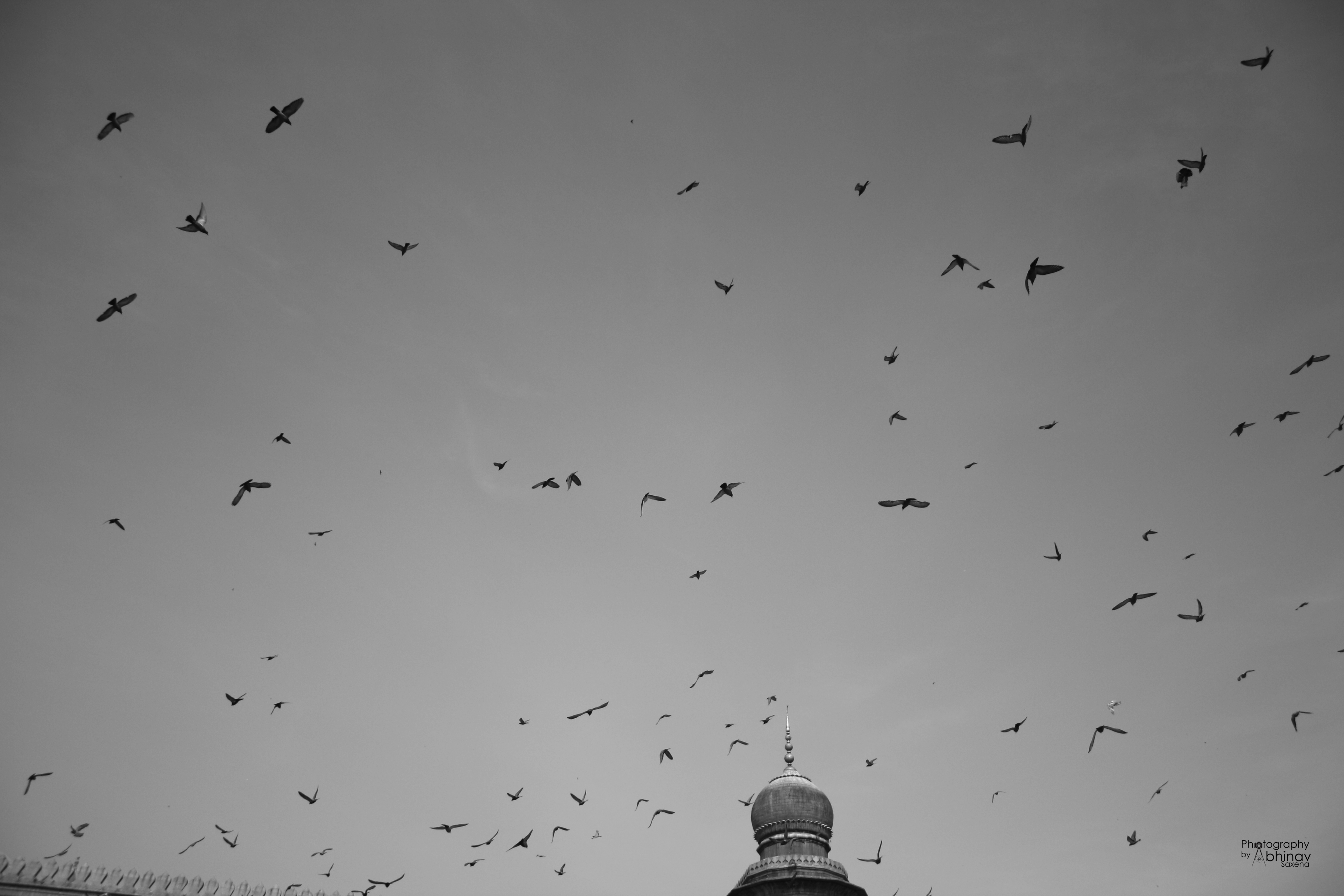 04. Landscape (7)