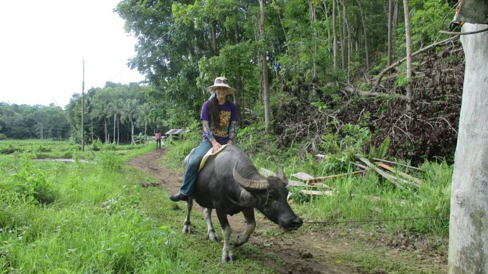 Home Bohol Japan Aopwid