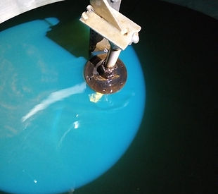 WhatsApp Image 2024-08-14 at 11.48.29 AM.jpeg