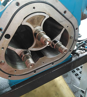 WhatsApp Image 2025-08-20 at 18.19.04 (1).jpeg