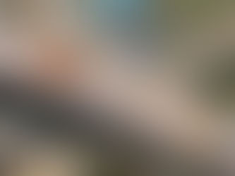 Plaza Singapura Celebrates its 40th Anniversary with Flavours of the World