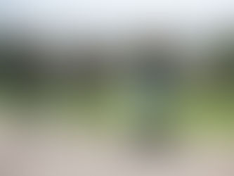 The Me-Mover Fit Accelerates the Healthy Living Trend