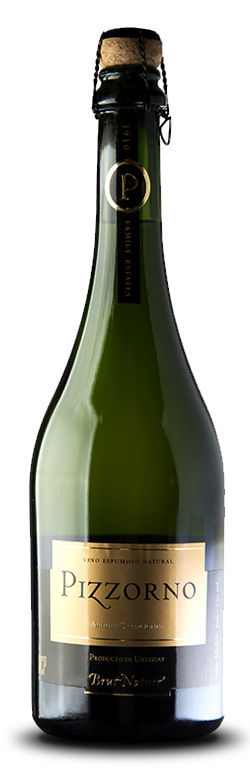 Pizzorno Family Estates, Medio & Medio