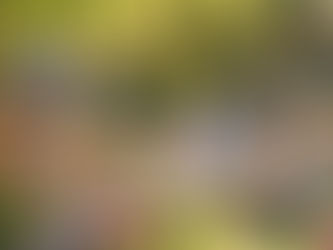 Prilika za organizacije: Jačanje kapaciteta za provedbu programa aktivnog starenja kroz EU fondove