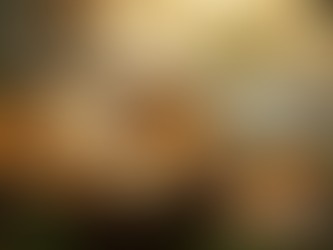 Cast iron skillet with sautéed oyster mushrooms surrounded by forest foliage and a decorative wooden heart