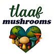 TLaaF Mushrooms logo with colorful mushrooms and text Hand Crafted with Love