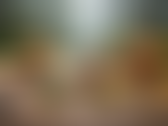 Fresh mushrooms and golden retriever dog surrounded by Lion's Mane, Blue Oyster, Chestnut, and Golden Enoki mushrooms