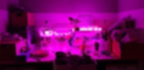 KakaoTalk_Photo_2018-09-05-15-49-47-9.jp