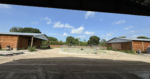 thumbnail_IMG_1941.jpg