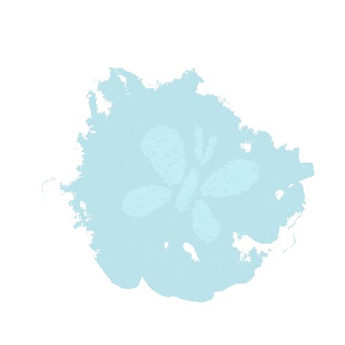 Ismani Art studios logo (3).gif