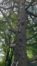 Tree climbing