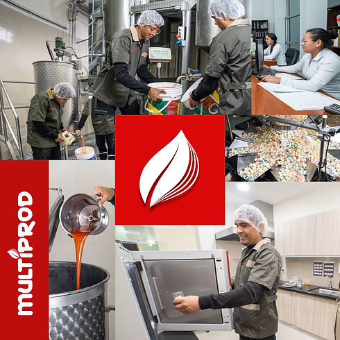 Mosaico Multiprod.jpg