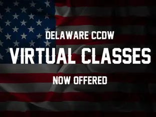 Delaware CCDW: Virtual Courses Offered Upon Request