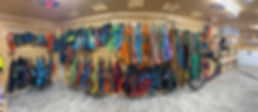 Zughundesportshop.JPEG