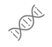 stem cells