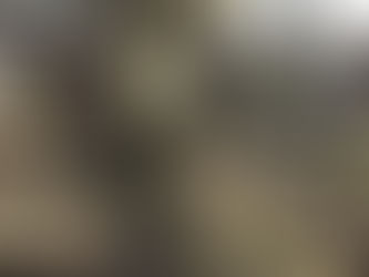 もうすぐ３月ですね