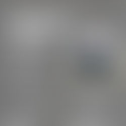 🌟Kingsley was invited to participate in Lingnan University's “Hong Kong Accounting Career Sharing” event.