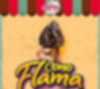 CONO FLAMA x 24 unid