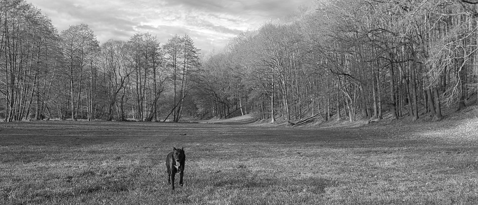 DSC_01091.jpeg