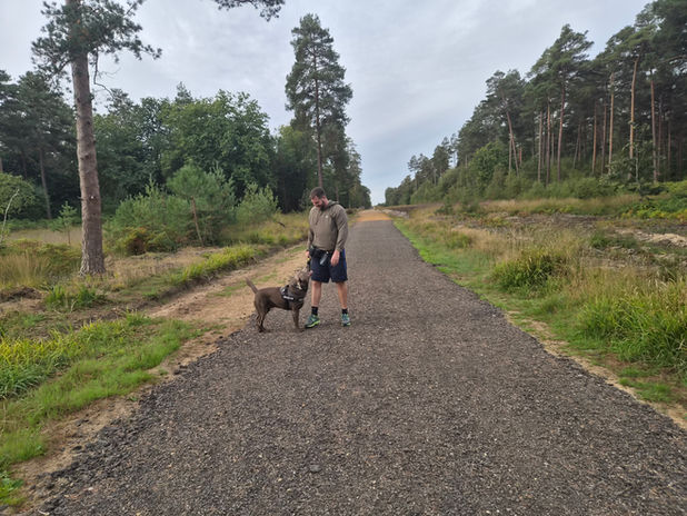 Dog being walked along a wide outdoor path near Crowthorne.