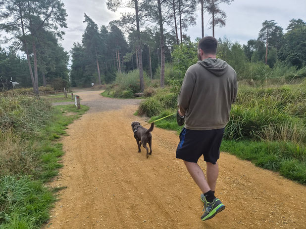 Sam walking a dog on a woodland and heathland path near Crowthorne.