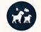 Small Group Dog Walking service