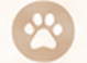 Free dog meet and greet in Bracknell and Crowthorne - Wagstaff Walks