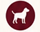 Solo Dog Walking service