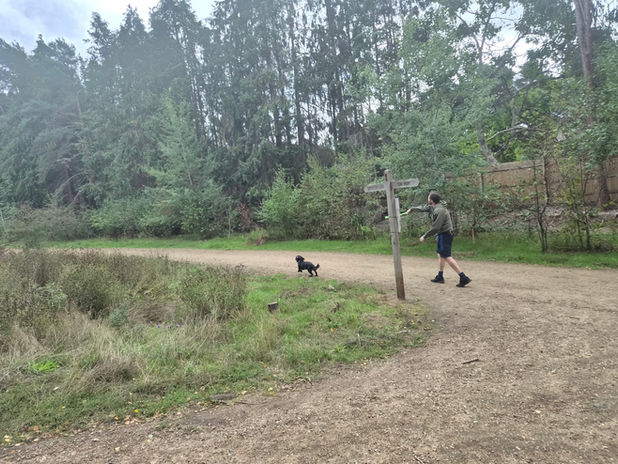 Dog walk across open countryside near Crowthorne with Wagstaff Walks.