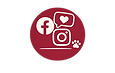 Follow Wagstaff Walks on social media for updates and pet care photos