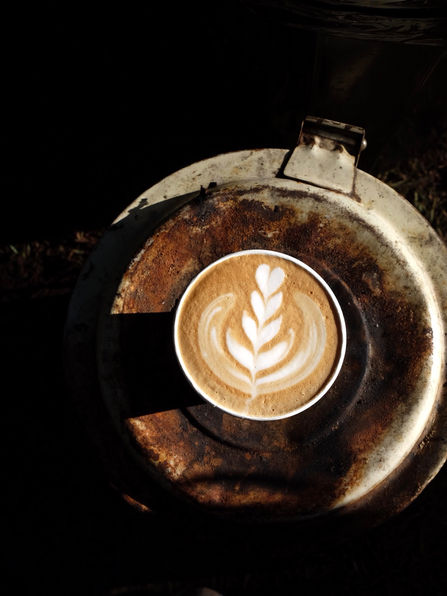 Cafe 12/12