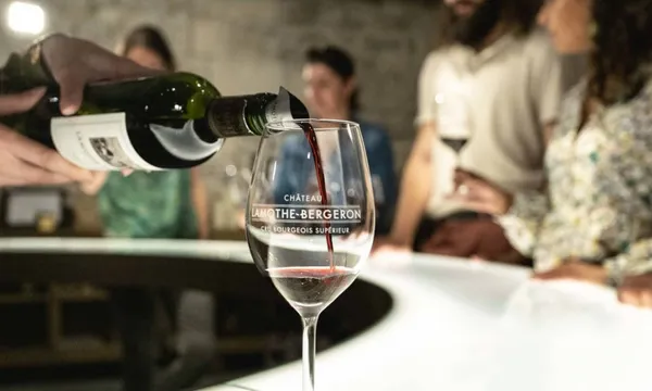 Médoc Wine Route Day Tour with Picnic in France, Aquitaine