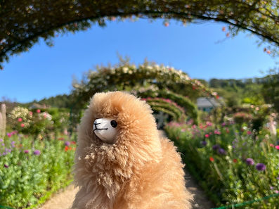 Giverny and Versailles Full-day Tour - Tour Up In Europe