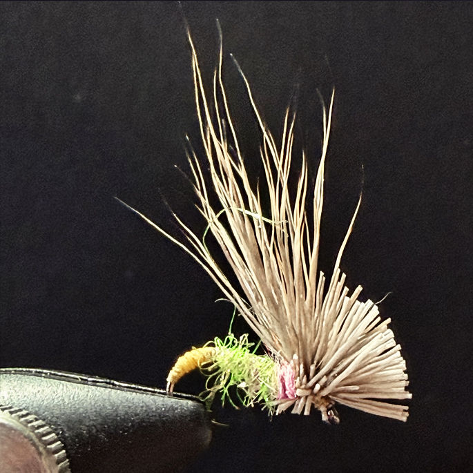 GQ #16. Gypsy Queen dry fly size 16