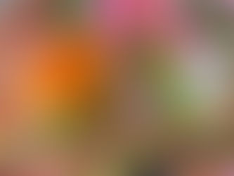 LA MANUFACTURE BERNARDAUD RACHÈTE LA PRESTIGIEUSE MAISON HAVILAND