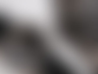 FROJO : LA PHOCÉA, MONTRE DE PLONGÉE