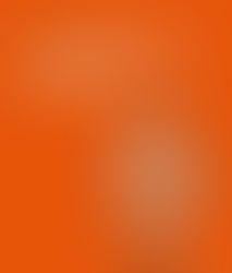 LE GUIDE DES MONTRES VINTAGE