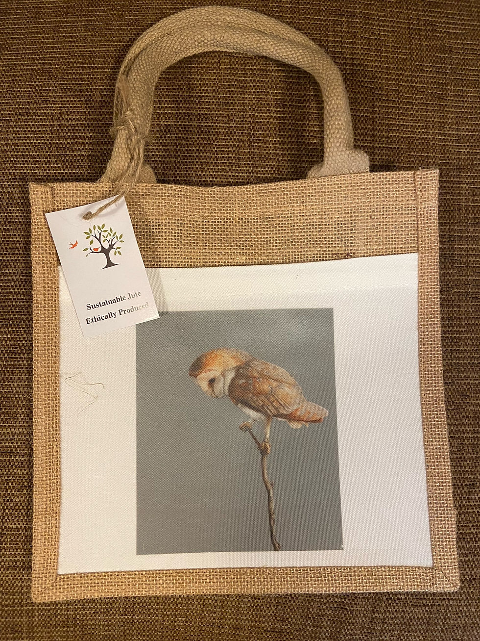 Thumbnail: Jute Shopping Bags (Small | Medium)