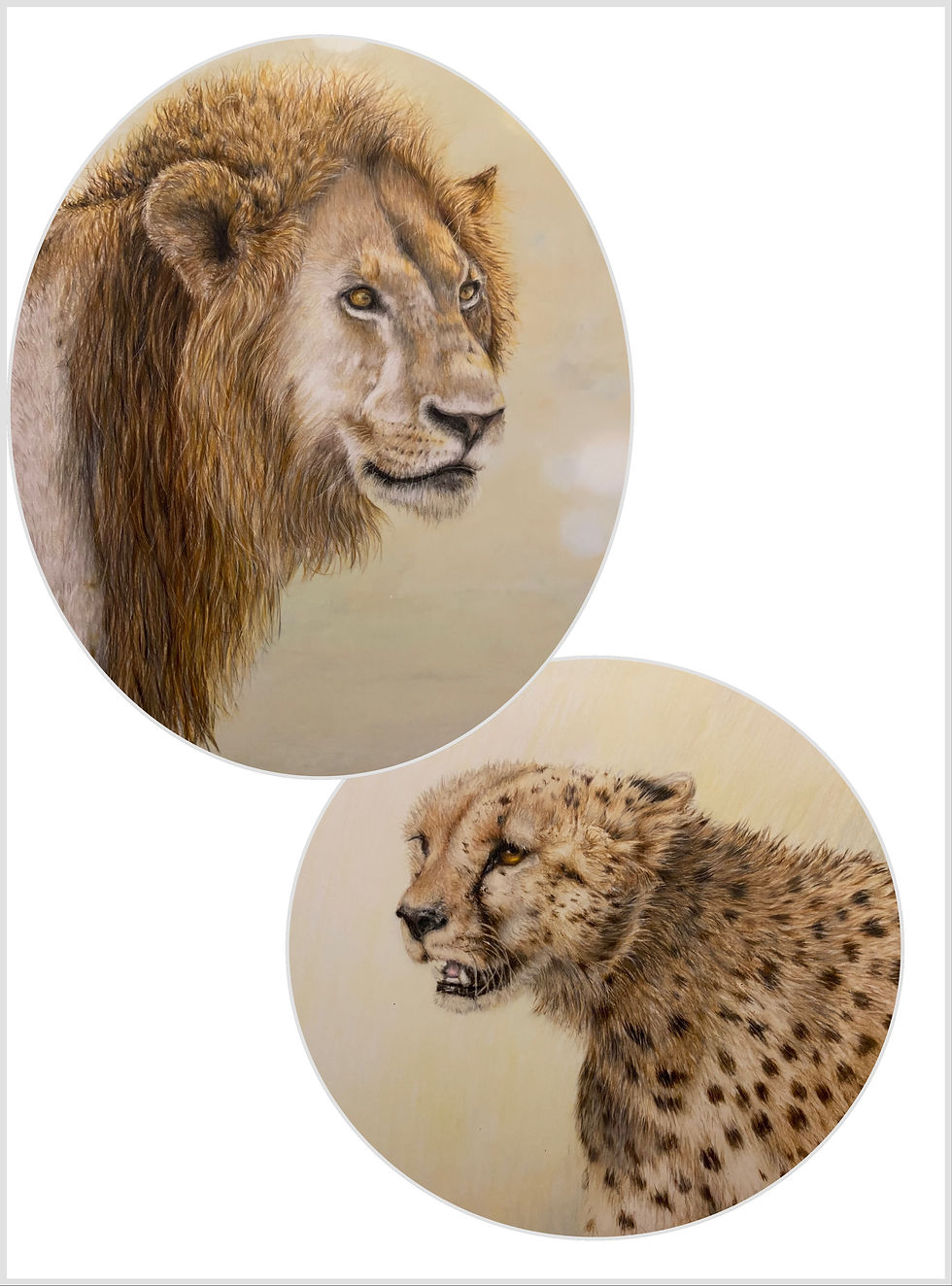 Association of Animal Artists Autumn Exhibition