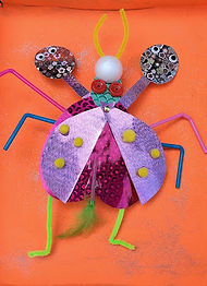Foto voor op de website (insect).jpg