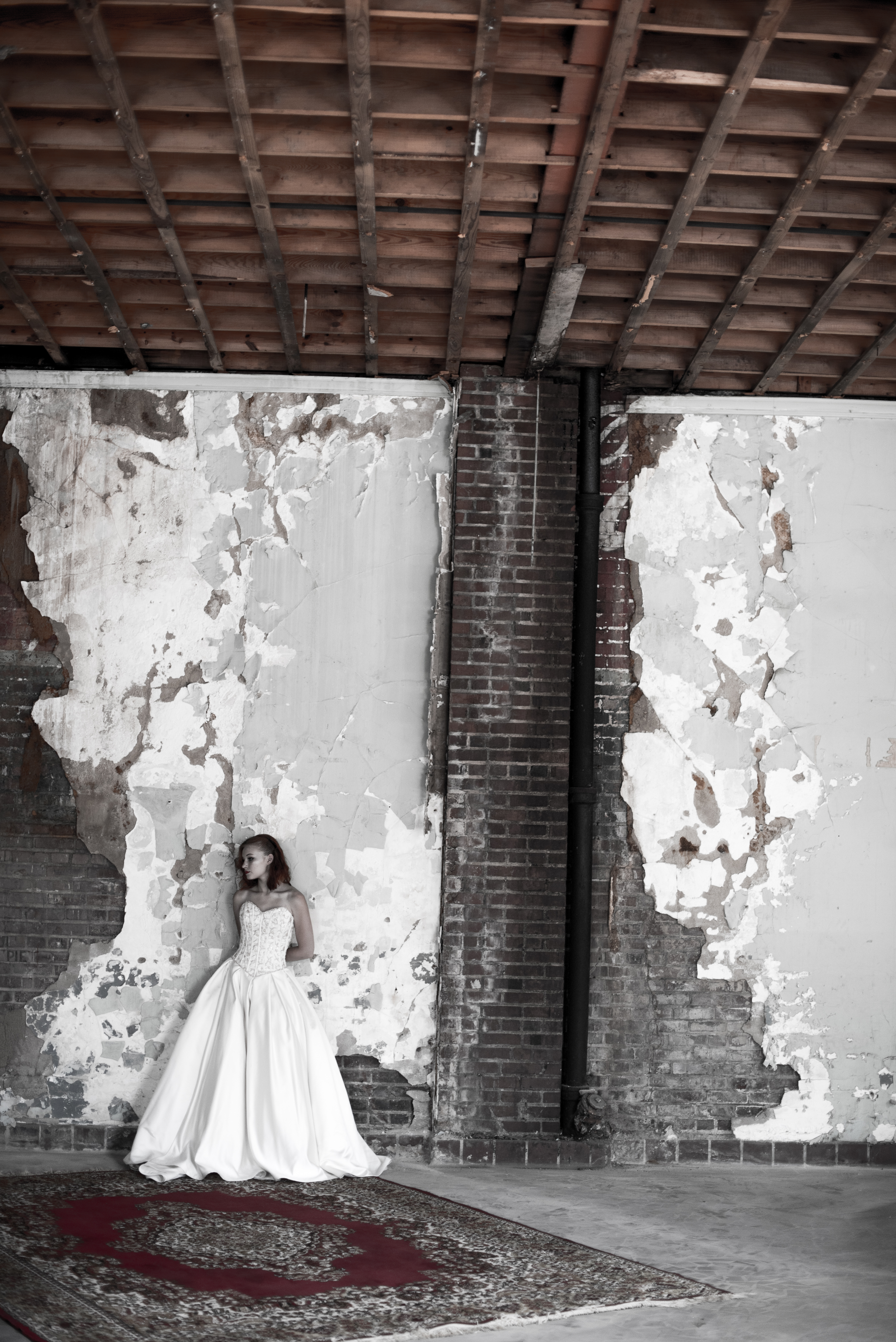 Portrait Photographer