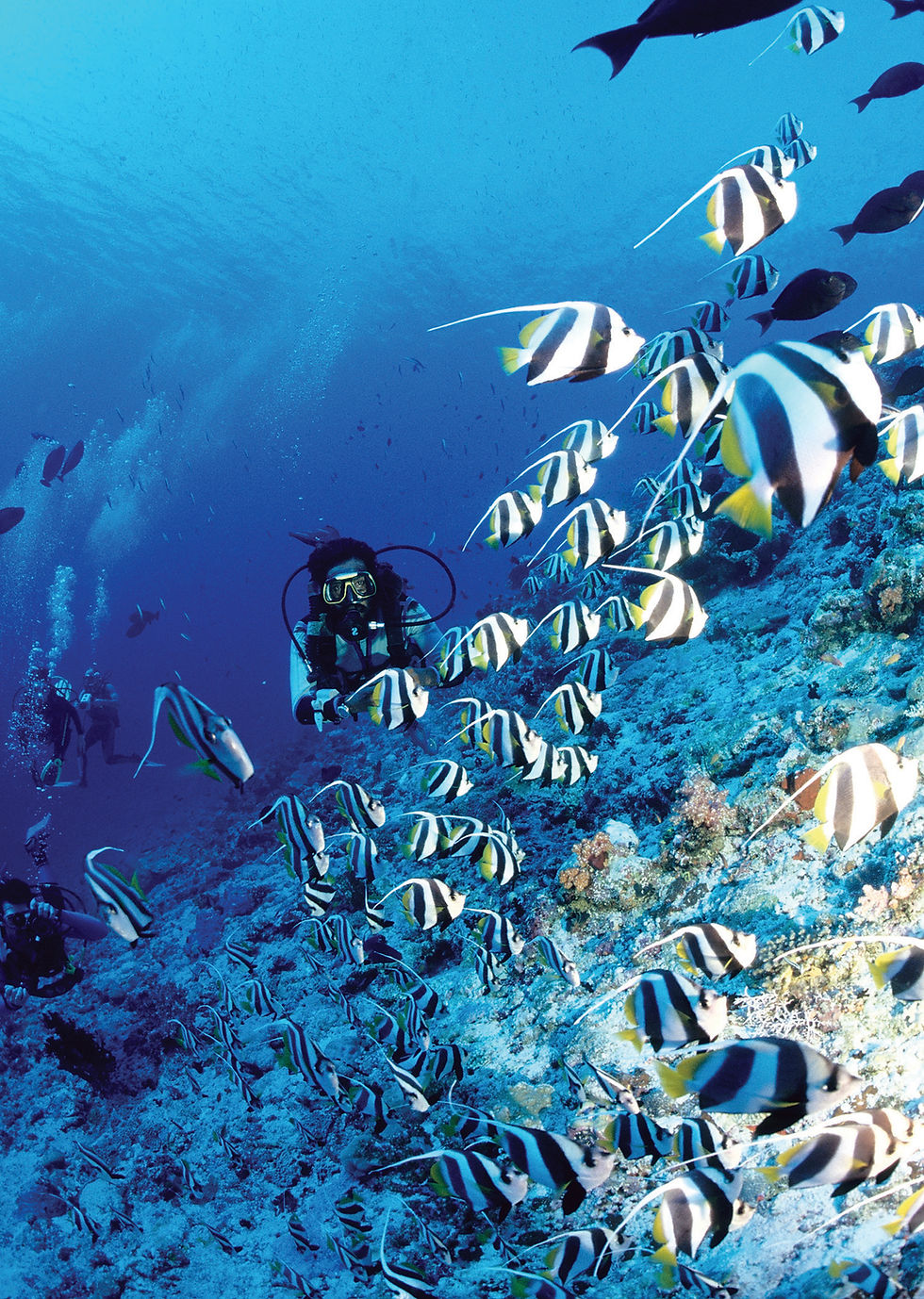 padi193_5950491197_o.jpg