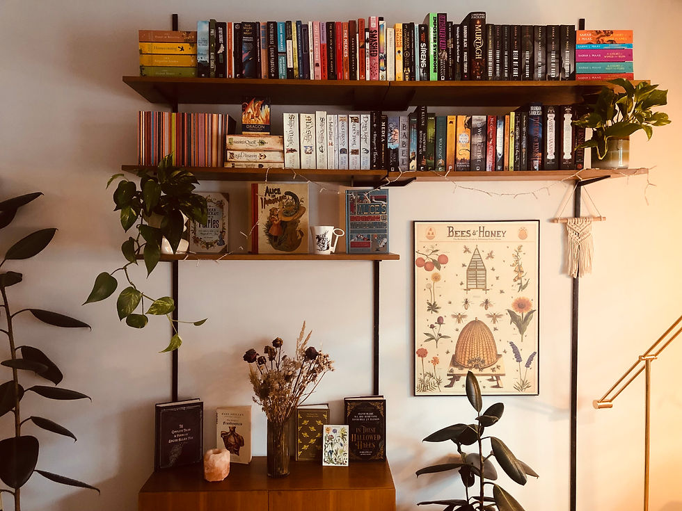 I'm Finally Starting a Book Blog