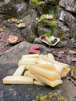 Apero im Wald