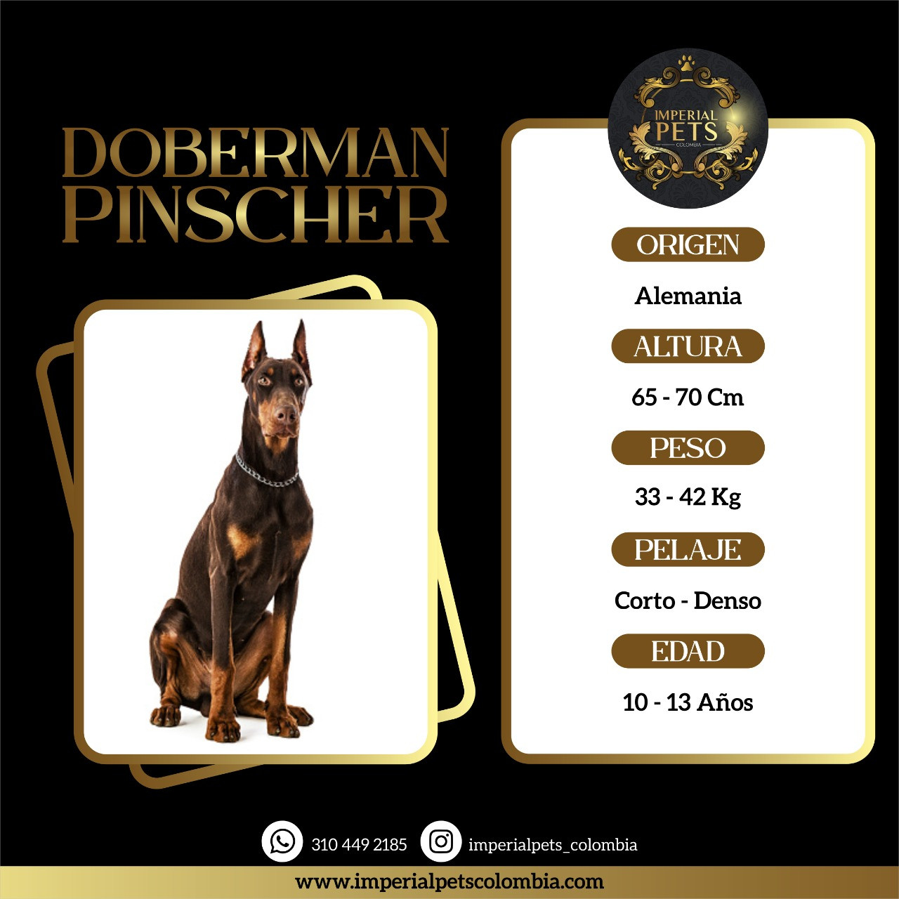 DOBERMAN