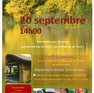 Balade en forêt