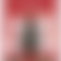 Marché de Noël Essor Commercial