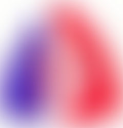 Commémoration du 19 mars 1962