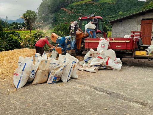 Programa 'Debulha de Milho' beneficia produtores rurais da cidade